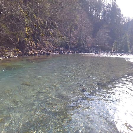 Camping & Glamping Grintovec Preddvor Exterior foto