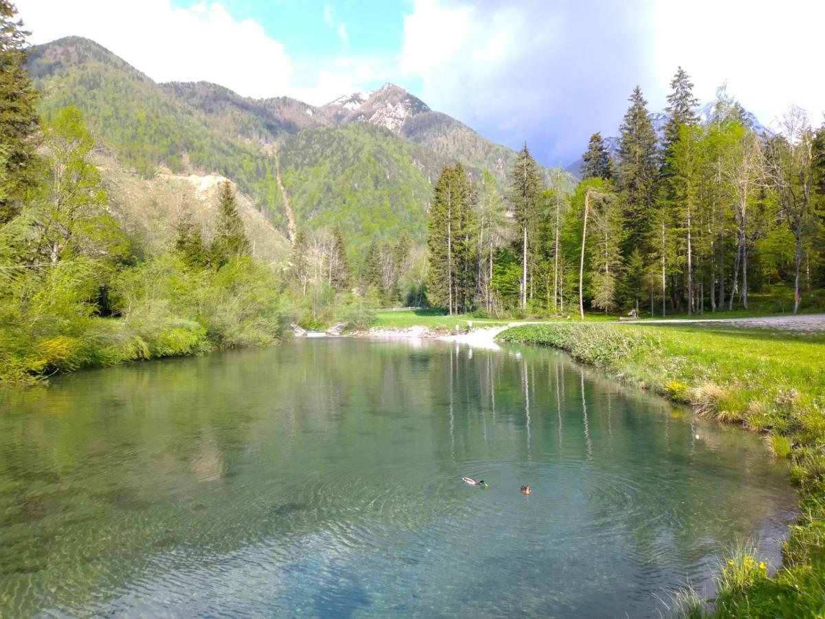 Camping & Glamping Grintovec Preddvor Exterior foto