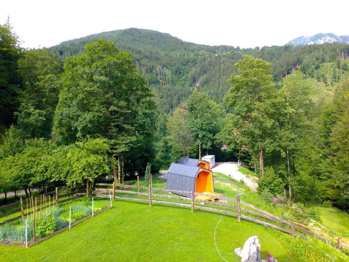 Camping & Glamping Grintovec Preddvor Exterior foto
