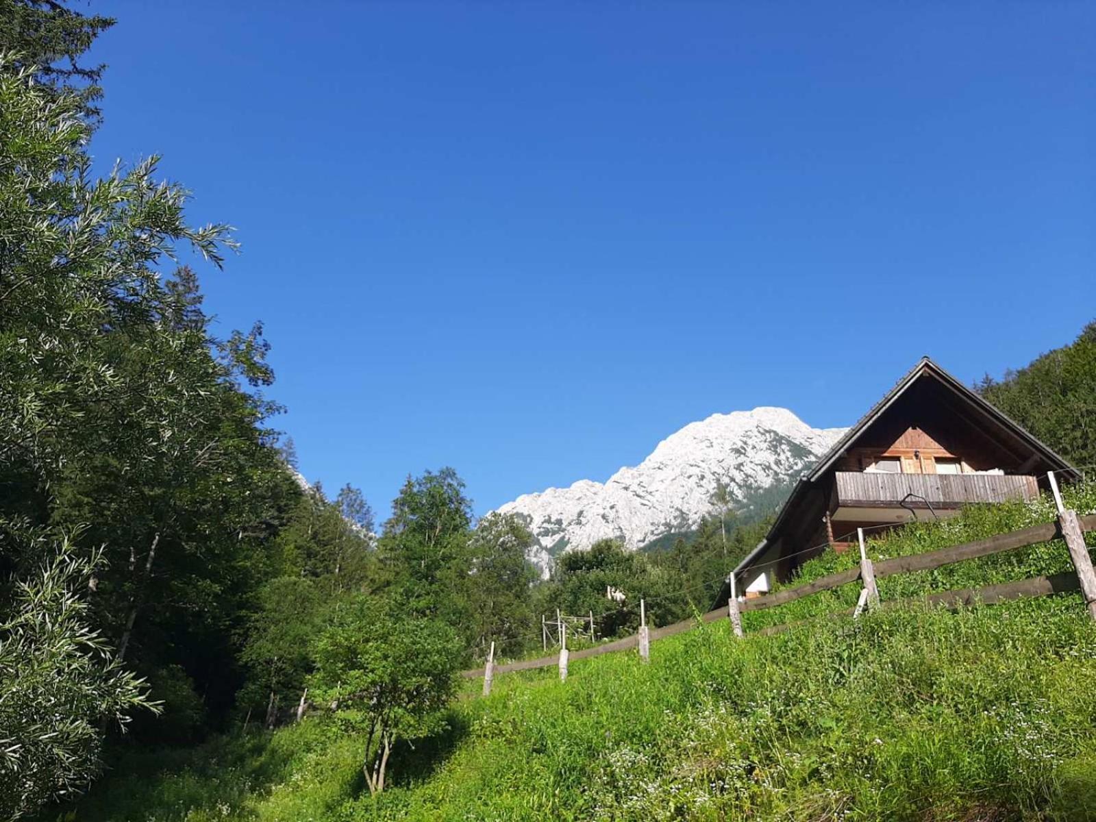 Camping & Glamping Grintovec Preddvor Exterior foto